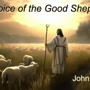 THE VOICE OF THE GOOD SHEPHERD