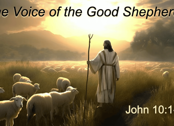 THE VOICE OF THE GOOD SHEPHERD